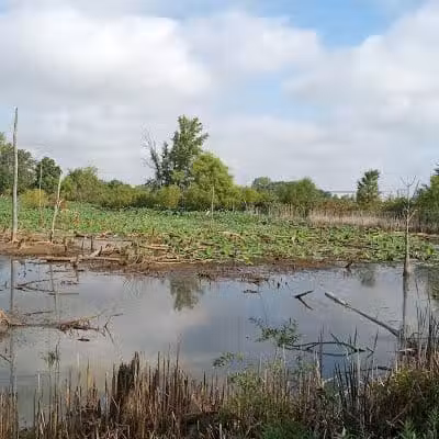Ohio to Erie Trail - Sunbury, OH