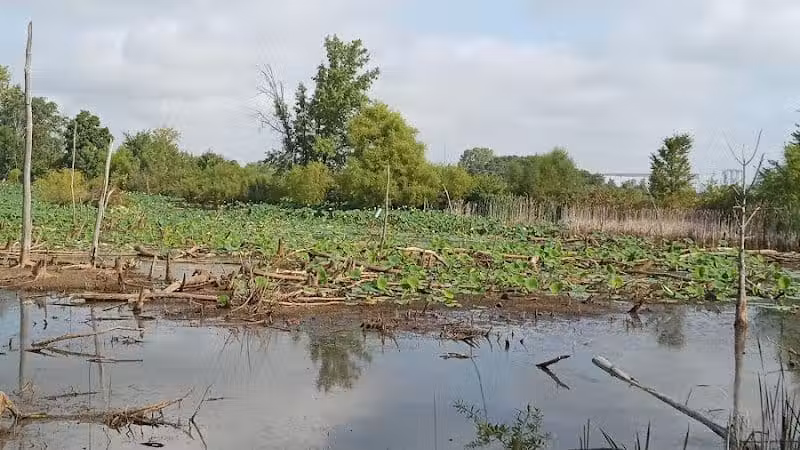 Ohio to Erie Trail - Sunbury, OH