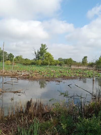 Ohio to Erie Trail - Sunbury, OH