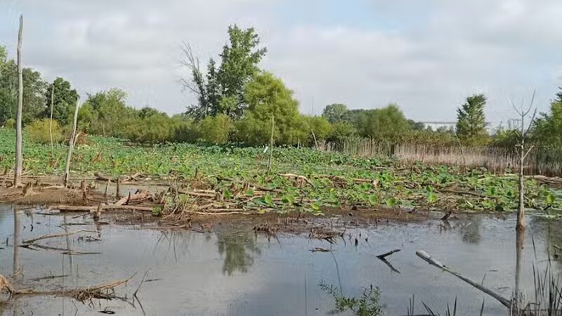 Ohio to Erie Trail - Sunbury, OH