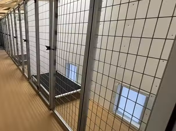 Perfect Paws Pet Resort - Sunbury, OH