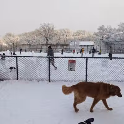 Torsney Dog Run - Sunnyside, NY
