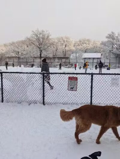 Torsney Dog Run - Sunnyside, NY