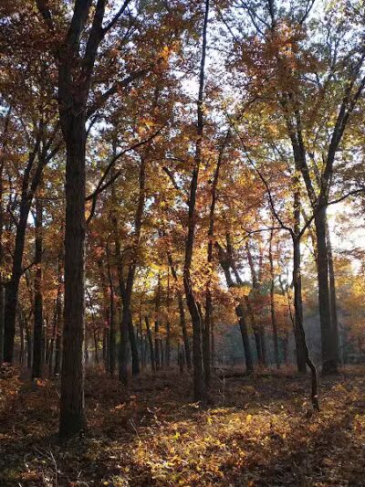 The Spot - Swanton, OH