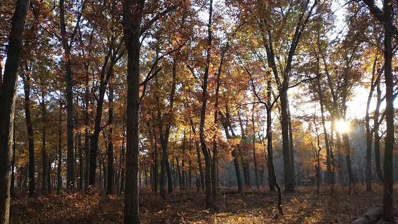 The Spot - Swanton, OH