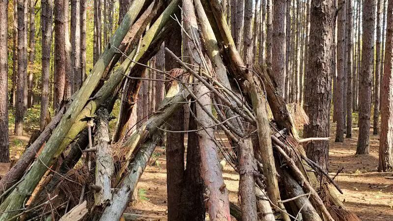 The Spot - Swanton, OH