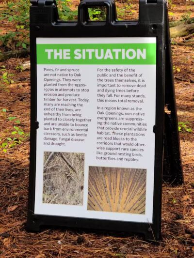 The Spot - Swanton, OH