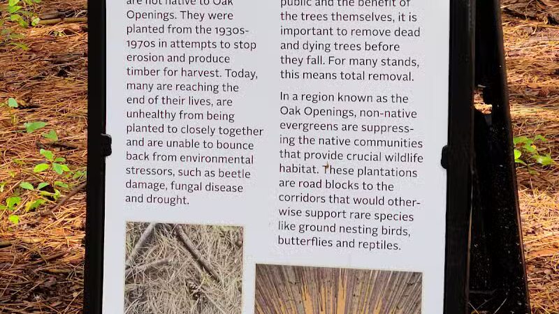 The Spot - Swanton, OH