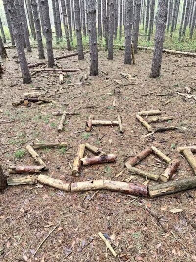 The Spot - Swanton, OH