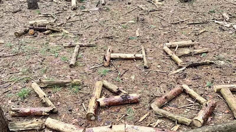 The Spot - Swanton, OH