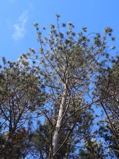 The Spot - Swanton, OH