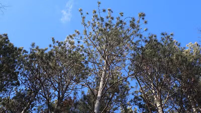 The Spot - Swanton, OH