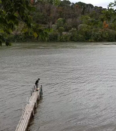 Let's Dock Campground - Syracuse, OH