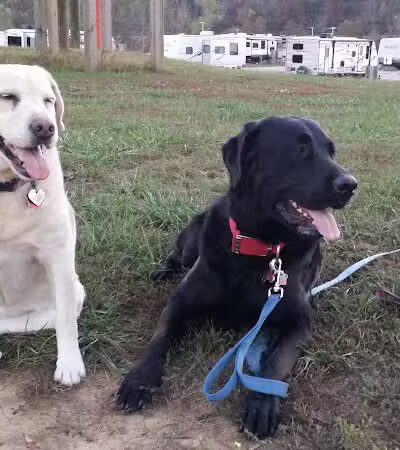 Let's Dock Campground - Syracuse, OH