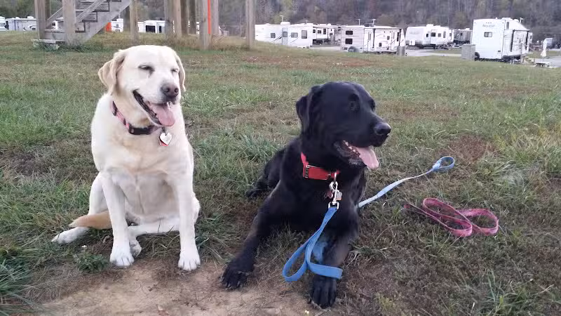Let's Dock Campground - Syracuse, OH
