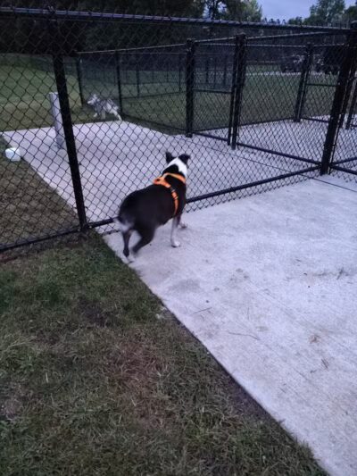 Howe Road Park - Tallmadge, OH