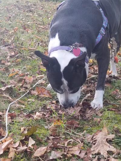 Howe Road Park - Tallmadge, OH