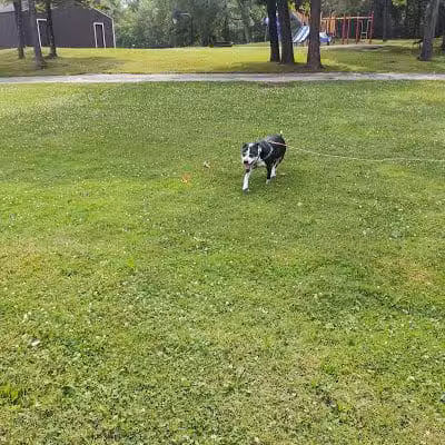 Howe Road Park - Tallmadge, OH