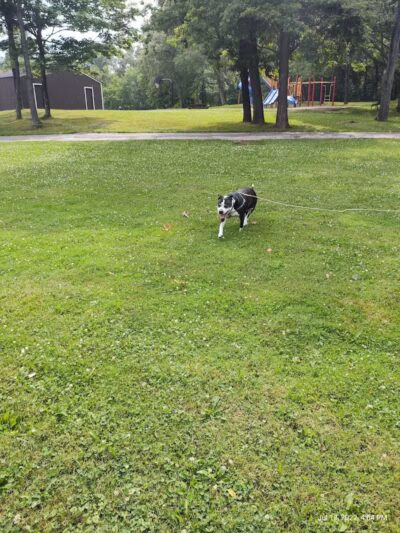 Howe Road Park - Tallmadge, OH