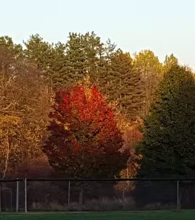 Tallmadge Lions Park - Tallmadge, OH