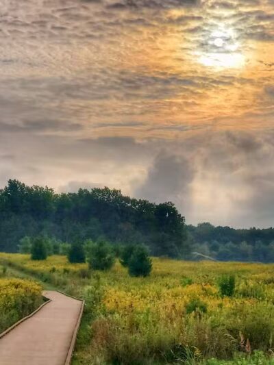 Tallmadge Meadows Area Metropark - Tallmadge, OH