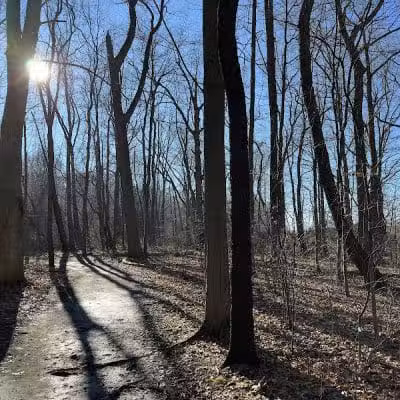 Tallmadge Meadows Area Metropark - Tallmadge, OH