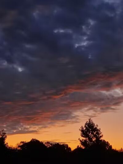 Tallmadge Meadows Area Metropark - Tallmadge, OH