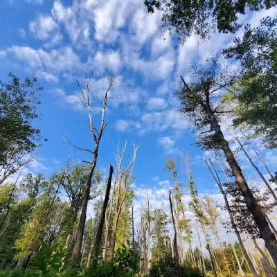 Tallmadge Meadows Area Metropark - Tallmadge, OH