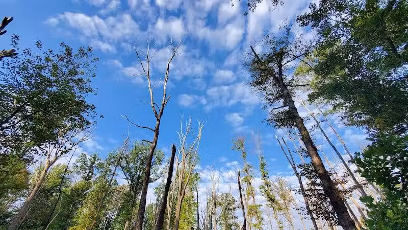 Tallmadge Meadows Area Metropark - Tallmadge, OH