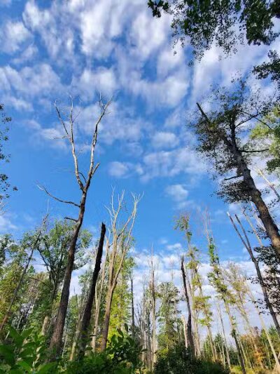 Tallmadge Meadows Area Metropark - Tallmadge, OH