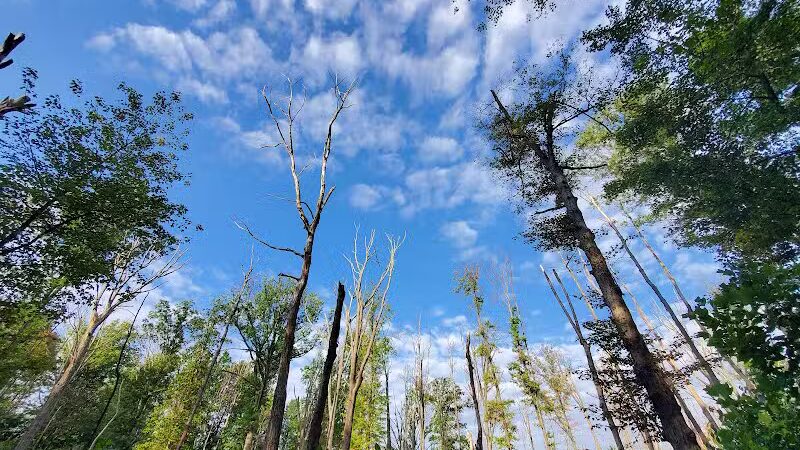 Tallmadge Meadows Area Metropark - Tallmadge, OH