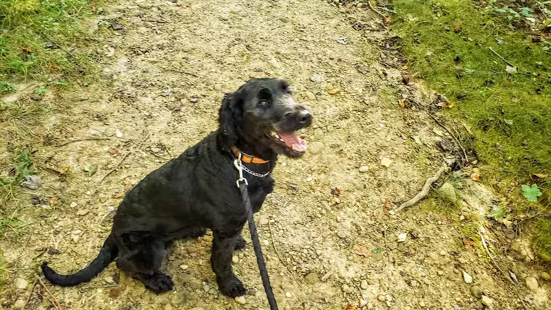 Tallmadge Meadows Area Metropark - Tallmadge, OH