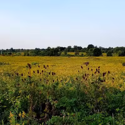 Tallmadge Meadows Park - Tallmadge, OH