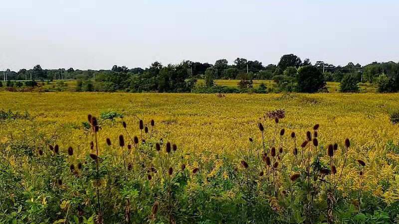 Tallmadge Meadows Park - Tallmadge, OH