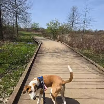 Tallmadge Meadows Park - Tallmadge, OH