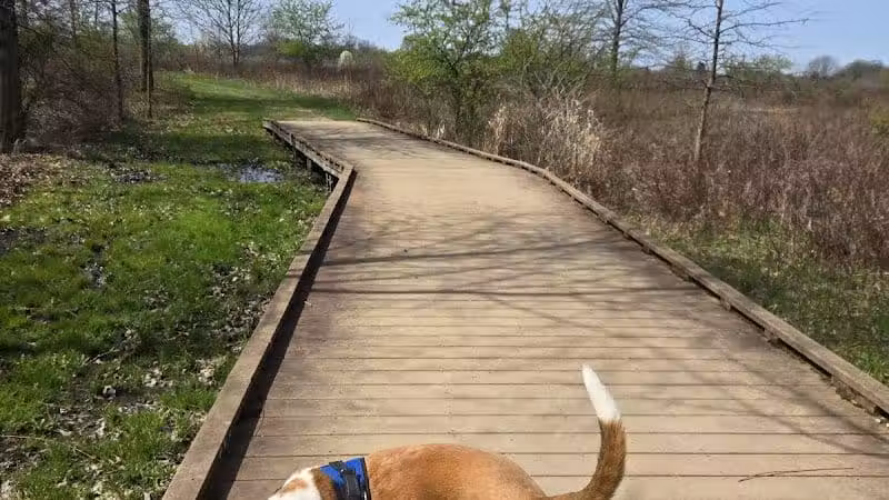 Tallmadge Meadows Park - Tallmadge, OH