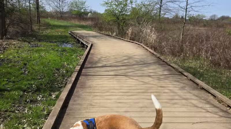 Tallmadge Meadows Park - Tallmadge, OH