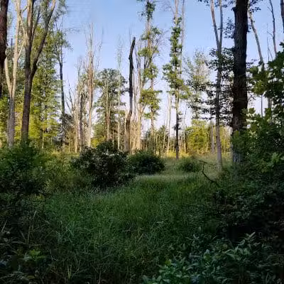 Tallmadge Meadows Park - Tallmadge, OH