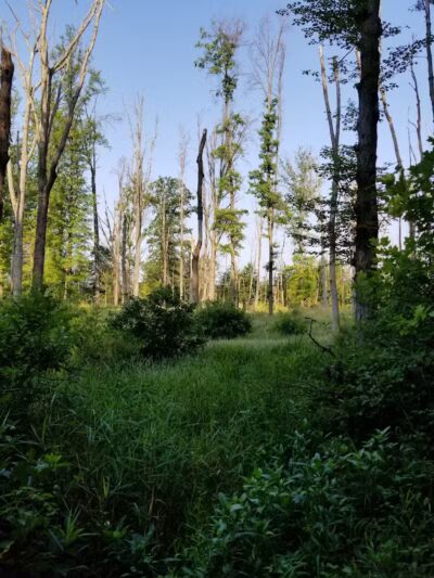 Tallmadge Meadows Park - Tallmadge, OH