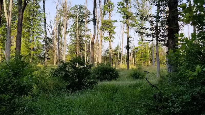 Tallmadge Meadows Park - Tallmadge, OH