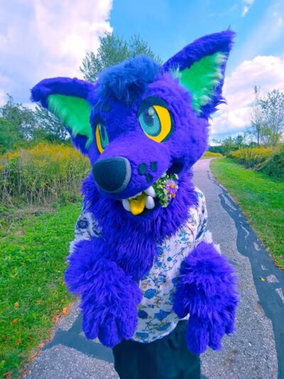 Tallmadge Meadows Park - Tallmadge, OH