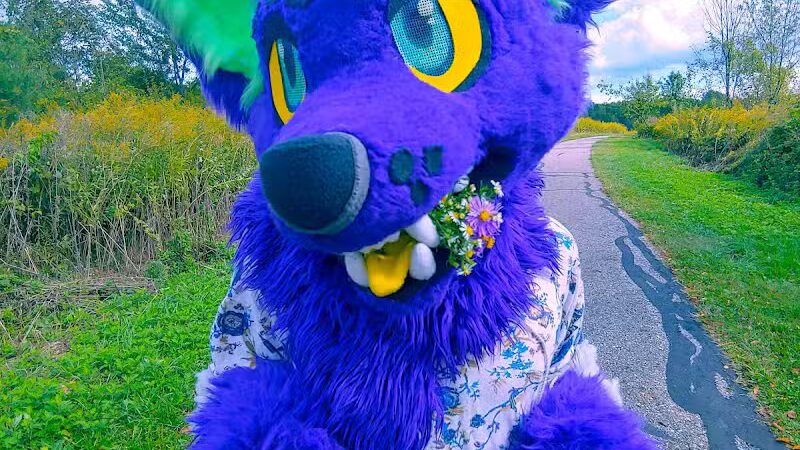 Tallmadge Meadows Park - Tallmadge, OH