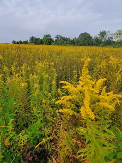 Tallmadge Meadows Park - Tallmadge, OH