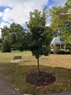 Terrace Park Village Green - Terrace Park, OH