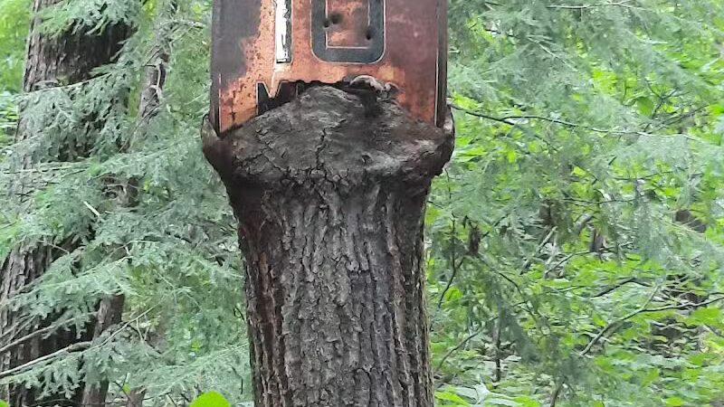 Thompson Ledges Township Park - Thompson, OH