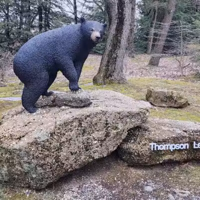 Thompson Ledges Township Park - Thompson, OH
