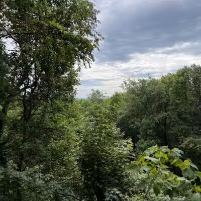Thompson Ledges Township Park - Thompson, OH