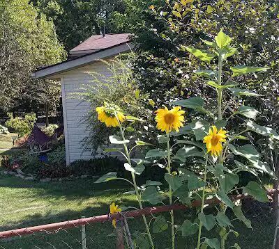 Thornville Community Park - Thornville, OH