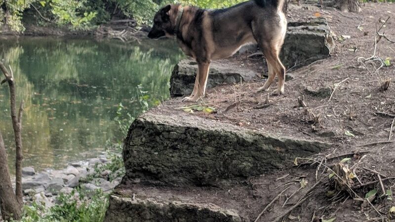 Freeman Prairie - Tipp City, OH