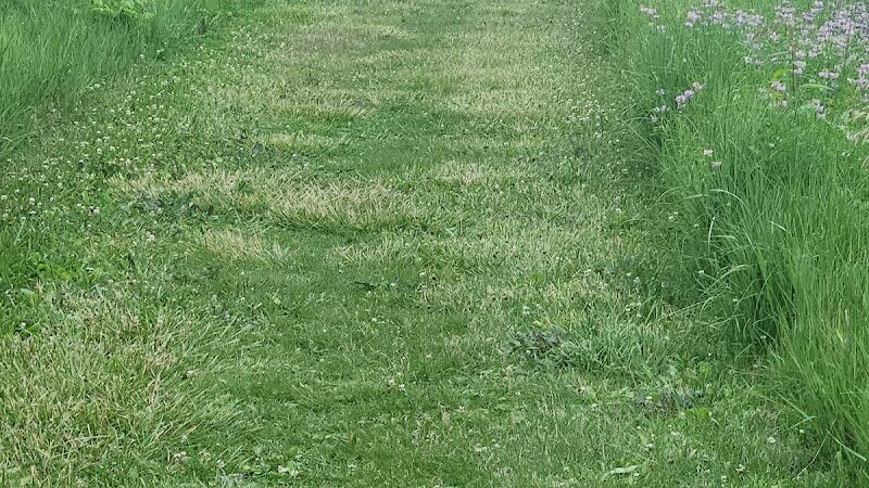 Freeman Prairie - Tipp City, OH